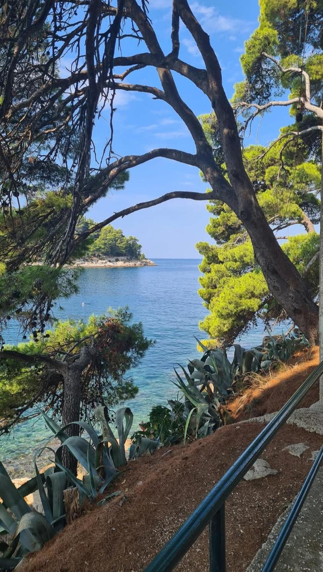 Sea Star Apartment Cavtat Exterior foto